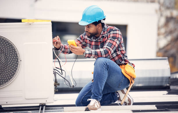 Best Licensed Electrician  in Norwood Young America, MN