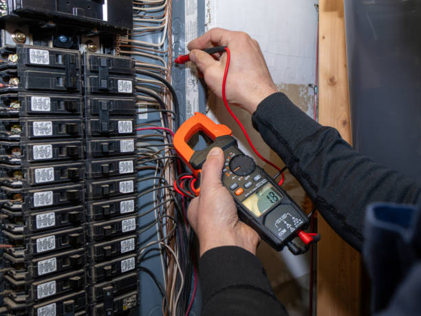Best Electric Panel Repair  in Norwood Young America, MN